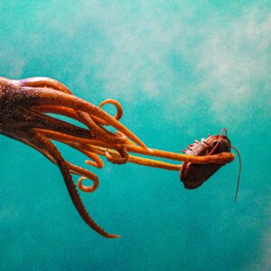 Thumbnail. Click to read 'How Istio and Argo CD helped us to debug platform migration issues for our App'.