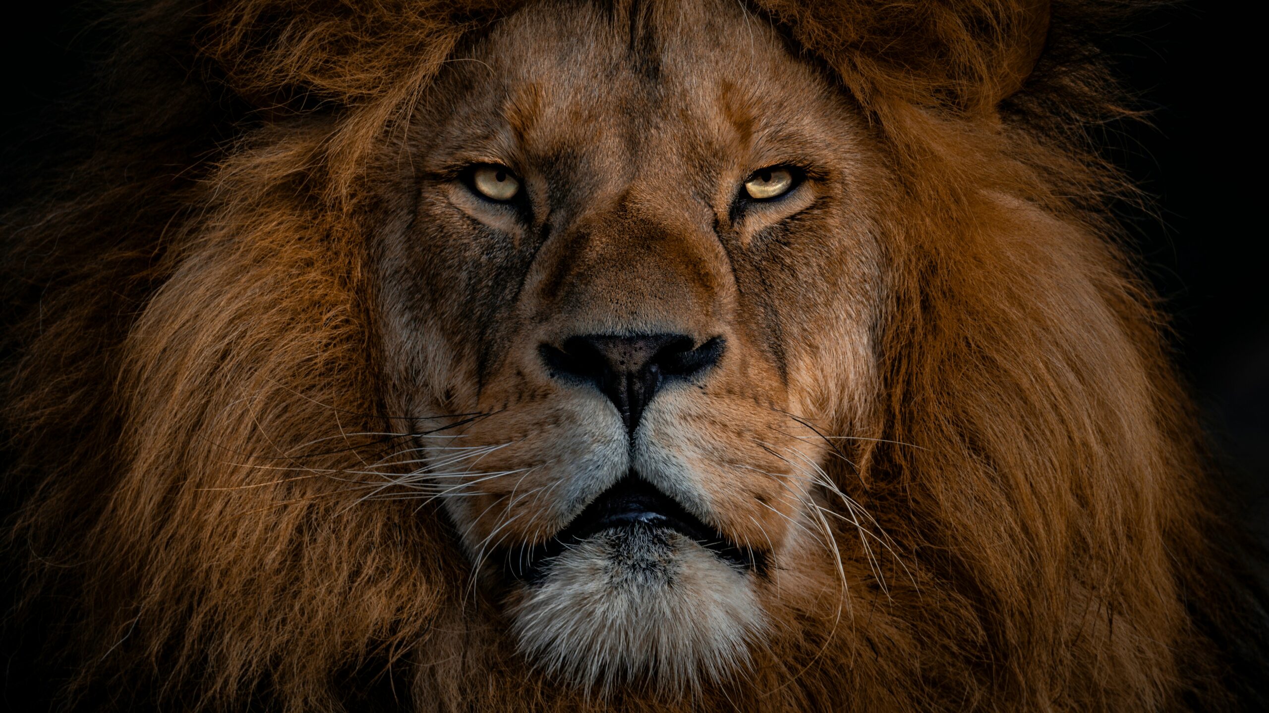 Swapping Chrome for Brave on Windows